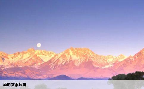 酒的文案短句