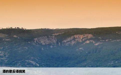 酒的歇后语搞笑