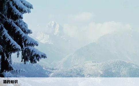 酒的知识