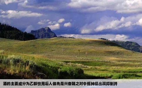 酒的主要成分为乙醇饮用后人体先是兴奋随之对中枢神经出现抑制并