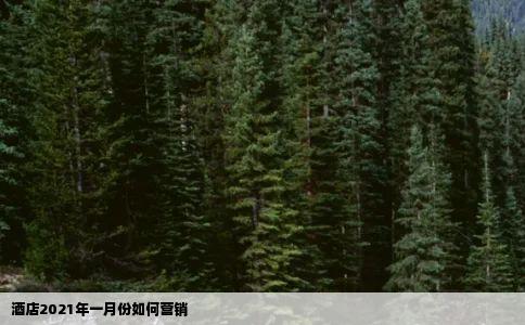 酒店2021年一月份如何营销