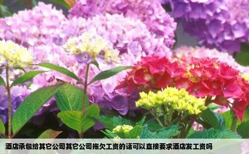 酒店承包给其它公司其它公司拖欠工资的话可以直接要求酒店发工资吗