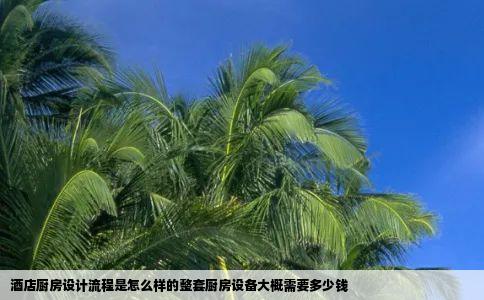 酒店厨房设计流程是怎么样的整套厨房设备大概需要多少钱