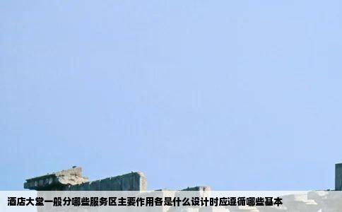 酒店大堂一般分哪些服务区主要作用各是什么设计时应遵循哪些基本