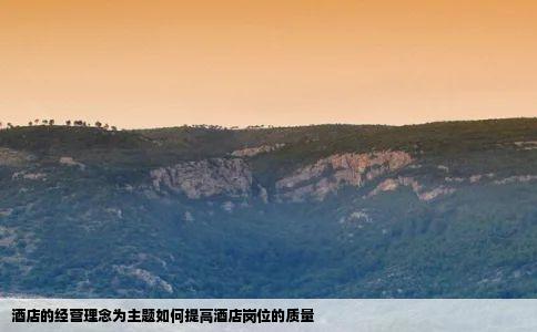 酒店的经营理念为主题如何提高酒店岗位的质量