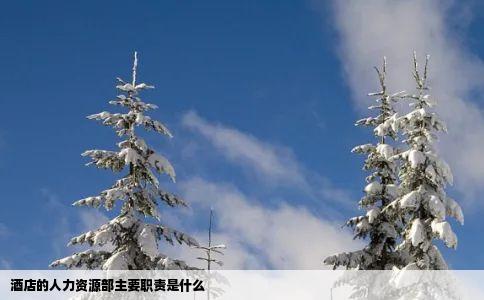 酒店的人力资源部主要职责是什么