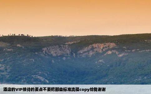 酒店的VIP接待的要点不要把那些标准流程copy给我谢谢