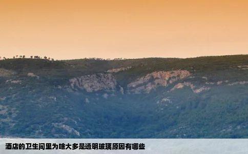 酒店的卫生间里为啥大多是透明玻璃原因有哪些