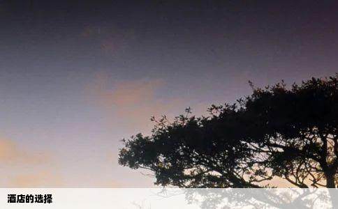 酒店的选择
