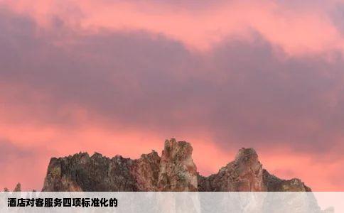 酒店对客服务四项标准化的