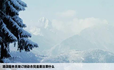 酒店服务员签订劳动合同需要注意什么