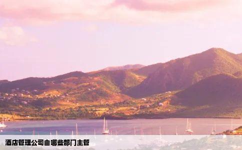 酒店管理公司由哪些部门主管