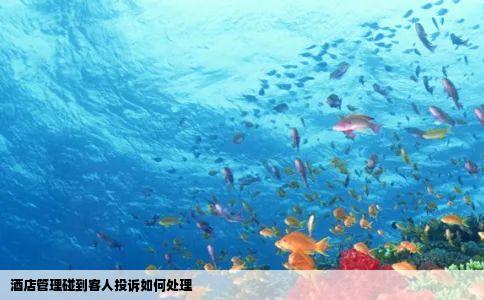 酒店管理碰到客人投诉如何处理