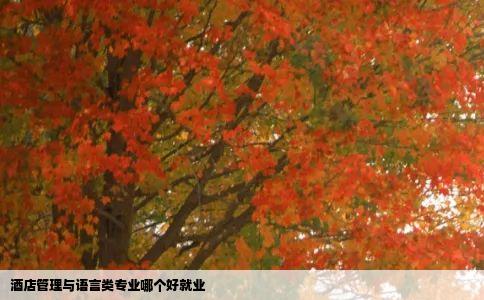 酒店管理与语言类专业哪个好就业