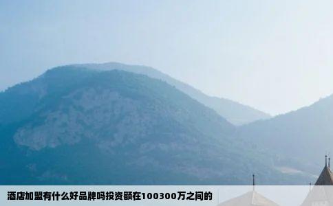 酒店加盟有什么好品牌吗投资额在100300万之间的