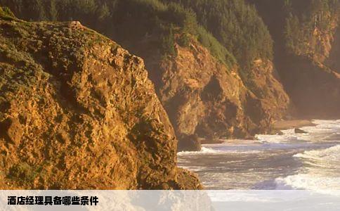 酒店经理具备哪些条件