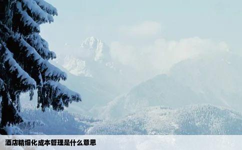 酒店精细化成本管理是什么意思