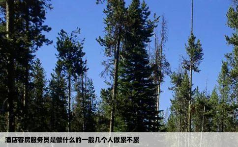 酒店客房服务员是做什么的一般几个人做累不累