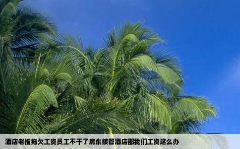 酒店老板拖欠工资员工不干了房东接管酒店那我们工资这么办