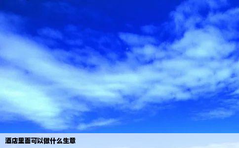 酒店里面可以做什么生意