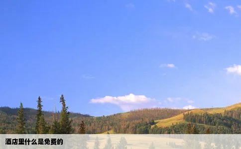 酒店里什么是免费的