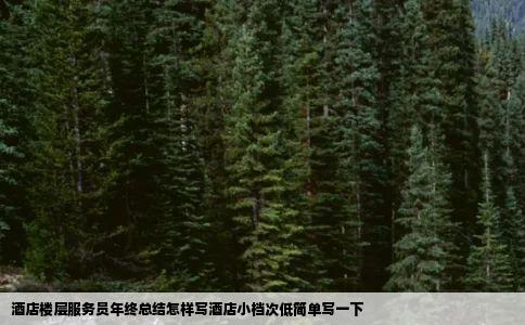 酒店楼层服务员年终总结怎样写酒店小档次低简单写一下
