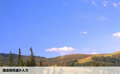 酒店如何减少人力