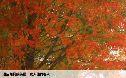 酒店如何接待第一次入住的客人