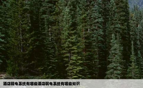 酒店弱电系统有哪些酒店弱电系统有哪些知识