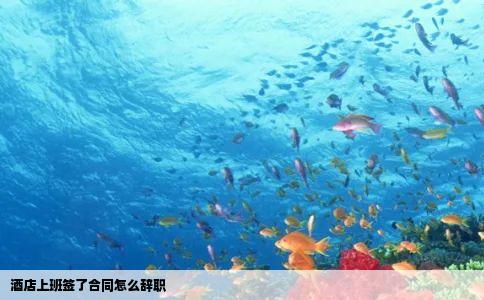 酒店上班签了合同怎么辞职