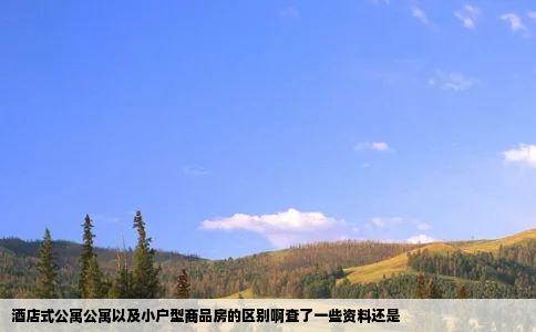 酒店式公寓公寓以及小户型商品房的区别啊查了一些资料还是