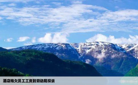 酒店拖欠员工工资到劳动局投诉