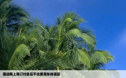 酒店网上预订付款后不住费用怎样退回