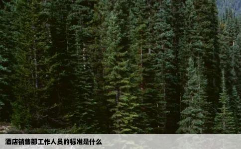 酒店销售部工作人员的标准是什么