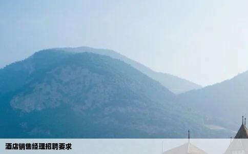 酒店销售经理招聘要求