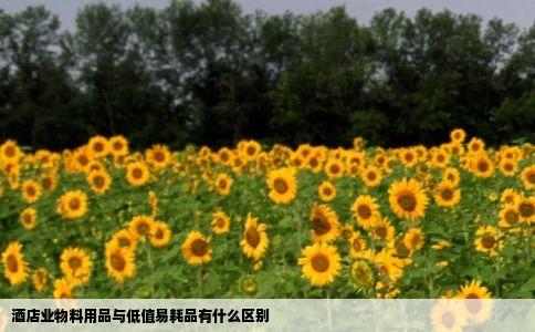 酒店业物料用品与低值易耗品有什么区别