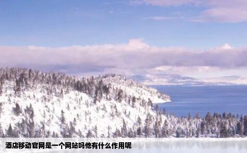 酒店移动官网是一个网站吗他有什么作用呢