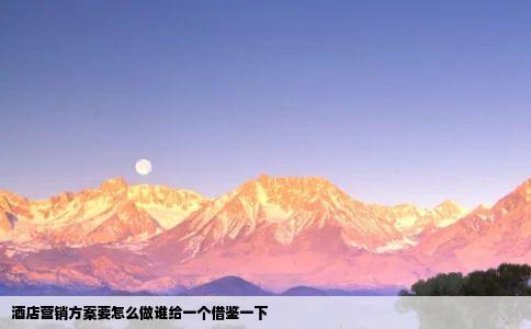 酒店营销方案要怎么做谁给一个借鉴一下