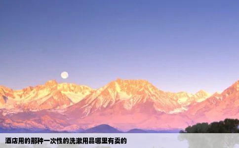酒店用的那种一次性的洗漱用品哪里有卖的