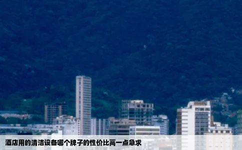 酒店用的清洁设备哪个牌子的性价比高一点急求