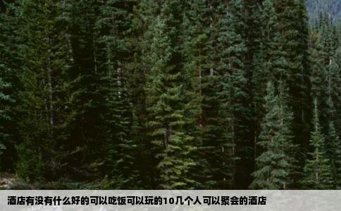 酒店有没有什么好的可以吃饭可以玩的10几个人可以聚会的酒店