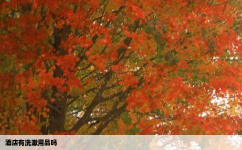 酒店有洗漱用品吗