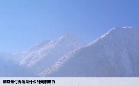 酒店预付办法是什么时候制定的