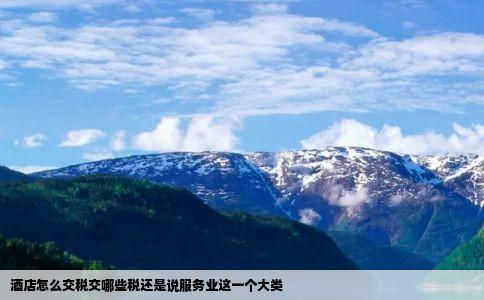 酒店怎么交税交哪些税还是说服务业这一个大类