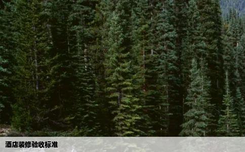 酒店装修验收标准