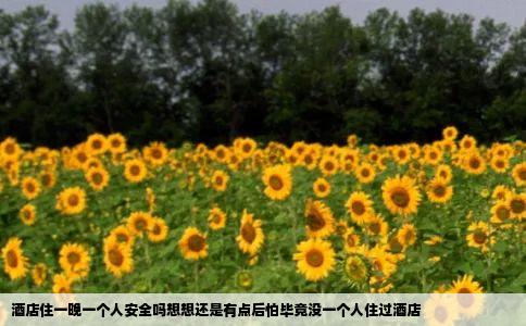 酒店住一晚一个人安全吗想想还是有点后怕毕竟没一个人住过酒店