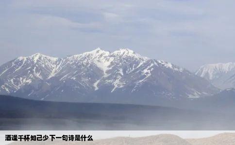 酒逢千杯知己少下一句诗是什么