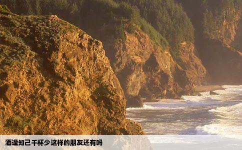 酒逢知己千杯少这样的朋友还有吗