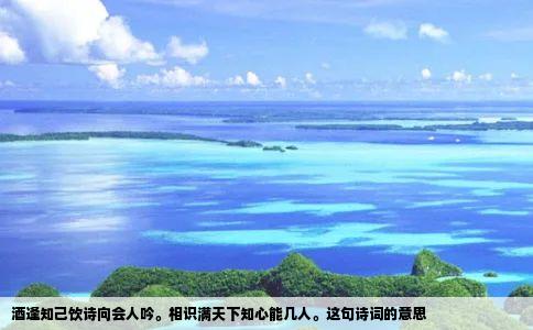 酒逢知己饮诗向会人吟相识满天下知心能几人这句诗词的意思