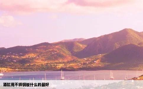 酒缸用不锈钢板什么的最好